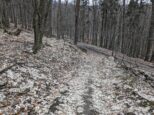 Pôvodná lesná cesta schádzala menej prudko (smer Pezinská Baba) (2023)
